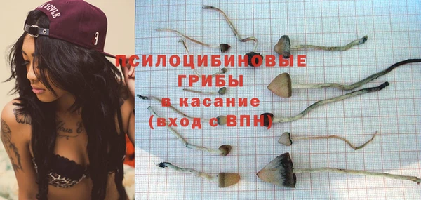твердый Алексеевка