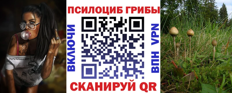 Псилоцибиновые грибы MAGIC MUSHROOMS  Новоалтайск 